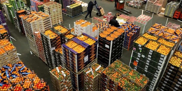 L’efficienza energetica al centro della trasformazione industriale nel settore agroalimentare